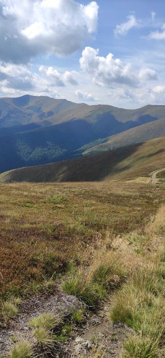 Земельна ділянка