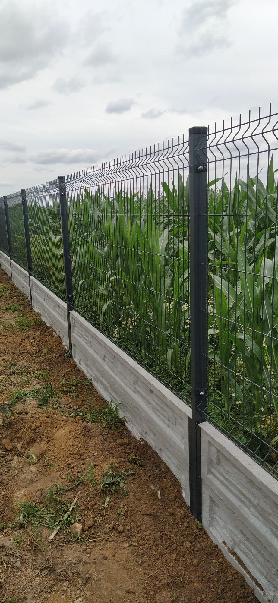 Panele ogrodzeniowe 2D, ogrodzenia panelowe - systemowe montaż, brama