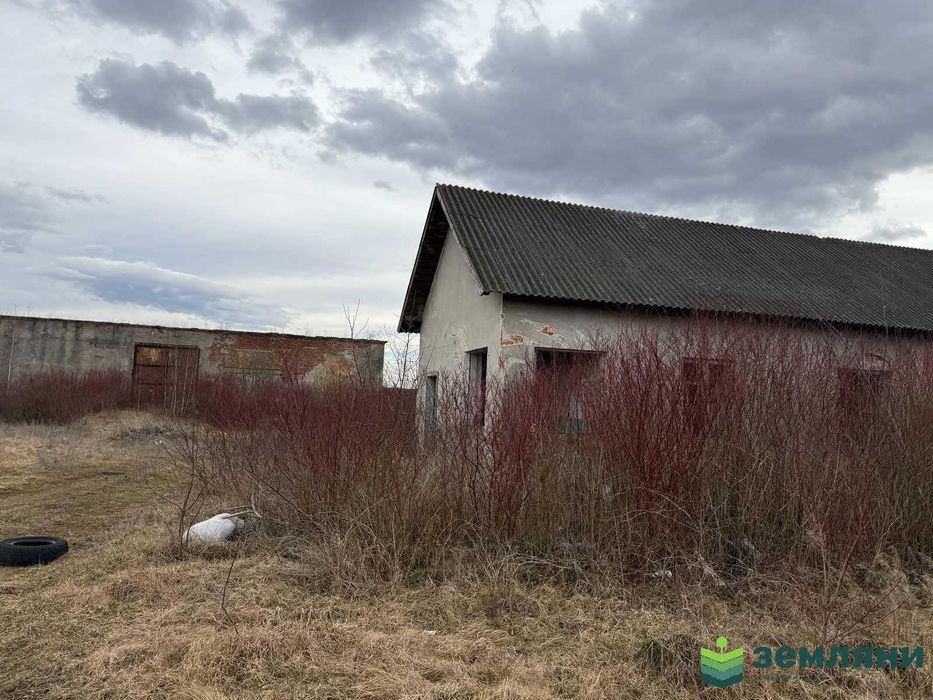 Продається виробничо-складське приміщення в с.Братківці (6)