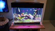Akwarium optiwhite 70l
