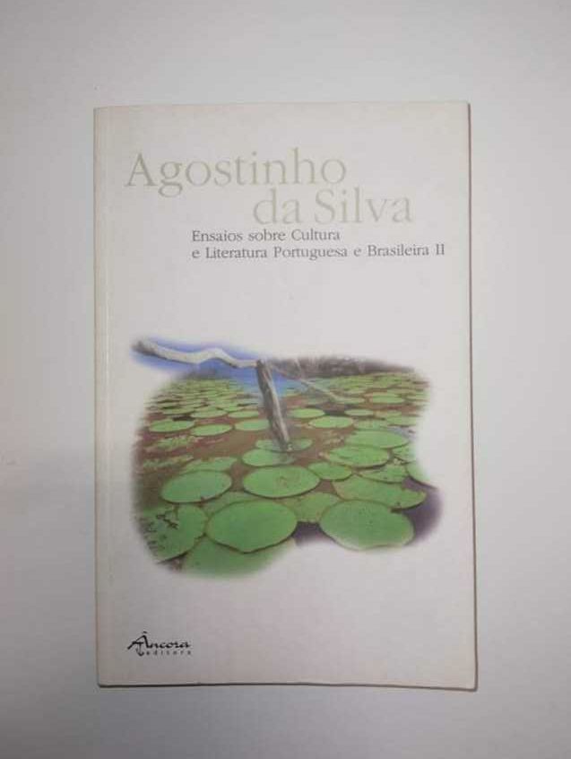 Ensaio sobre cultura e literatura Portuguesa e Brasileira II