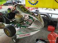 Карт (картинг) Tony Kart  с двигателем Rotax Max Evo.