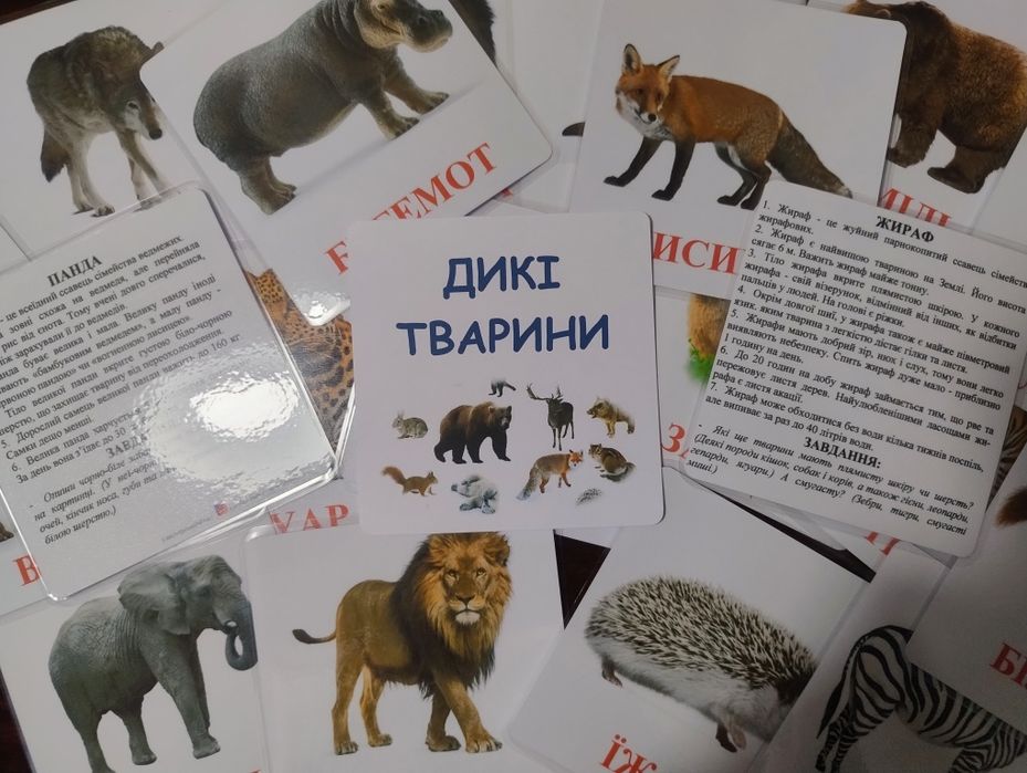 Картки Домана різних розмірів ламіновані