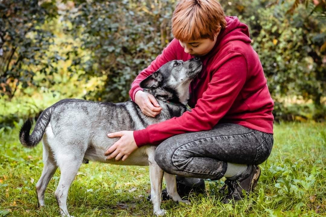 Kleks już tak długi czeka na swój dom... Czy ktoś go wreszcie pokocha?