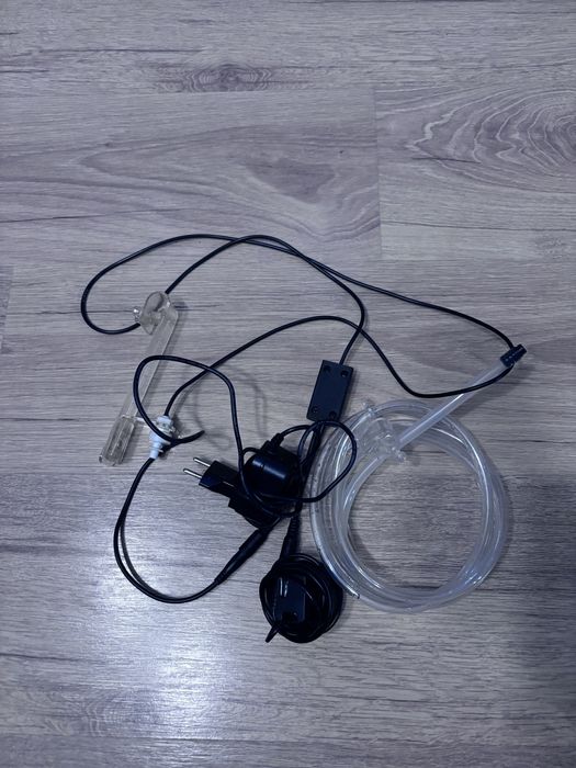 Automaczyna dolewka. Akwarium morskie.