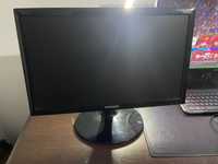 Monitor Samsung S19D300NY - 18,5”