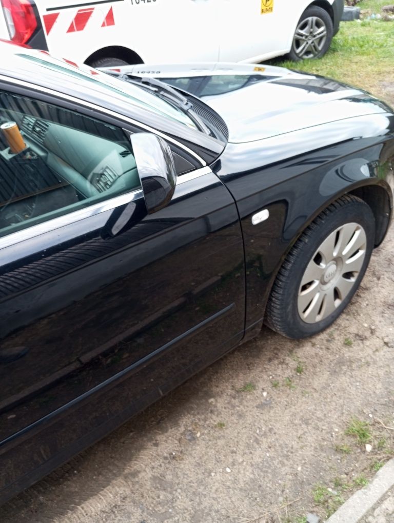 Audi A4 B7 2.0 /LPG
