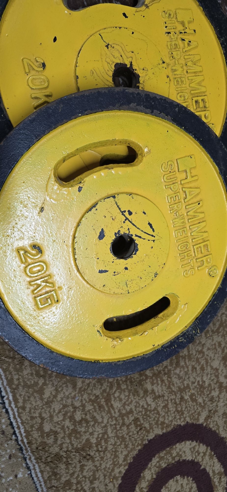 Pesos musculação