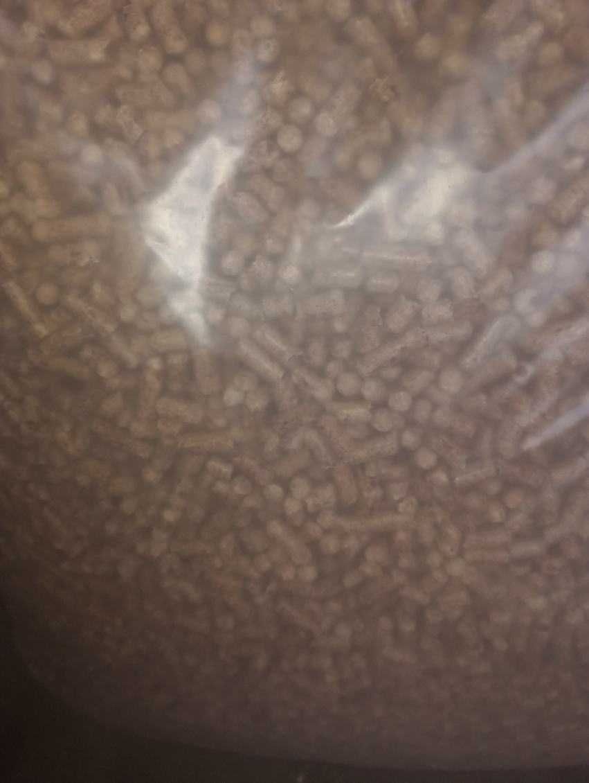 Pellet iglasty 6mm