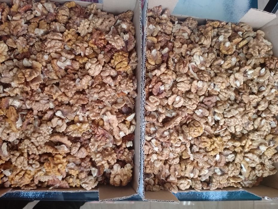 Orzechy włoskie łuskane 5 kg