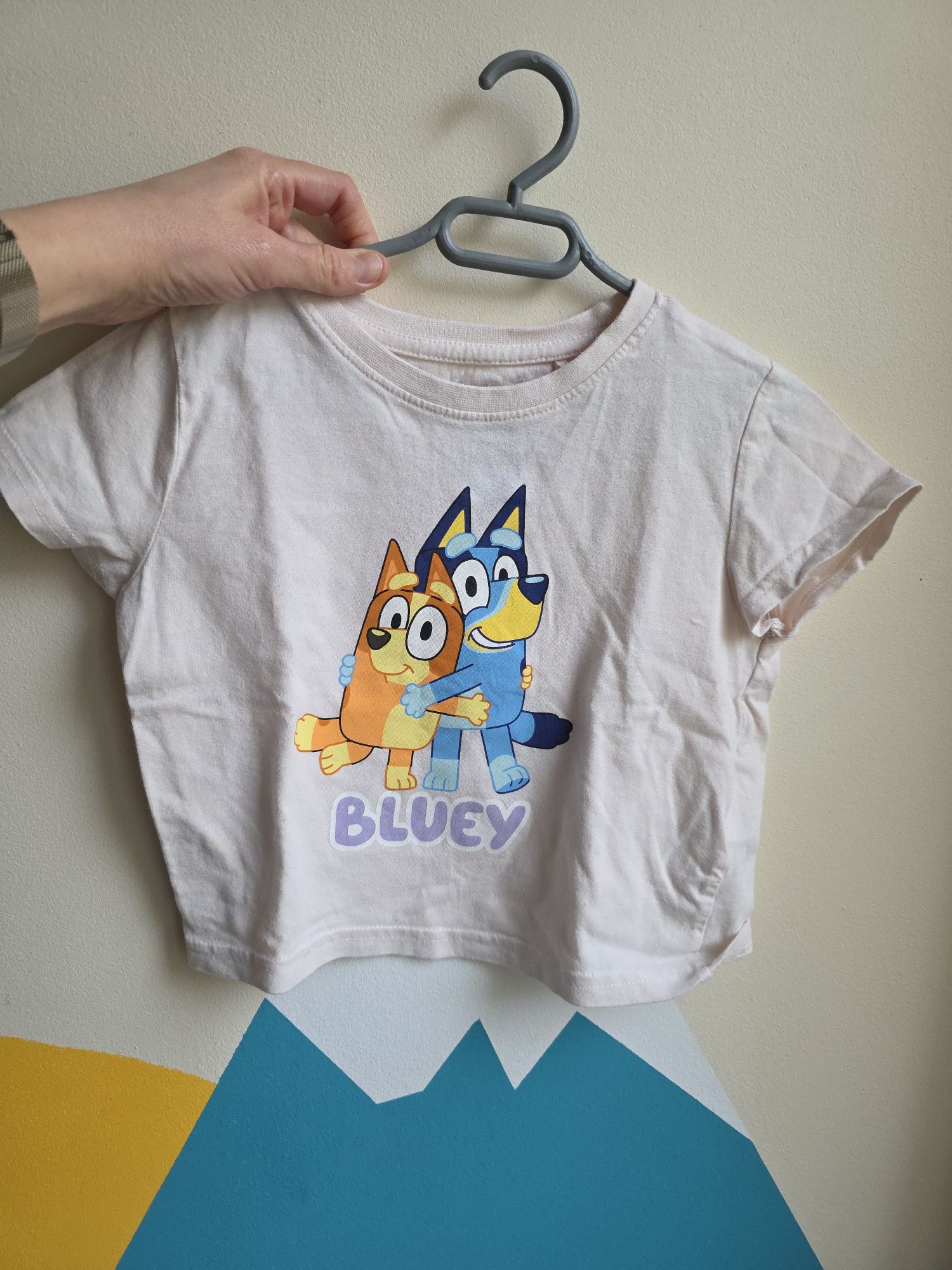 Zestaw Bluey bluzka t-shirt Szorty prążkowane Zara krótkie spodenki