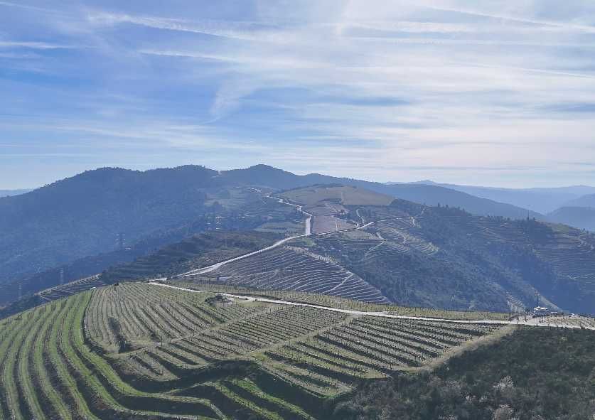 Vende-se terreno rústico em Valença do Douro - Tabuaço