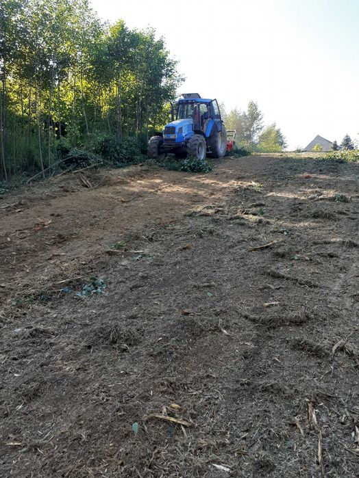 Czyszczenie działek mulczer leśny koszenie haszczy rekultywacja