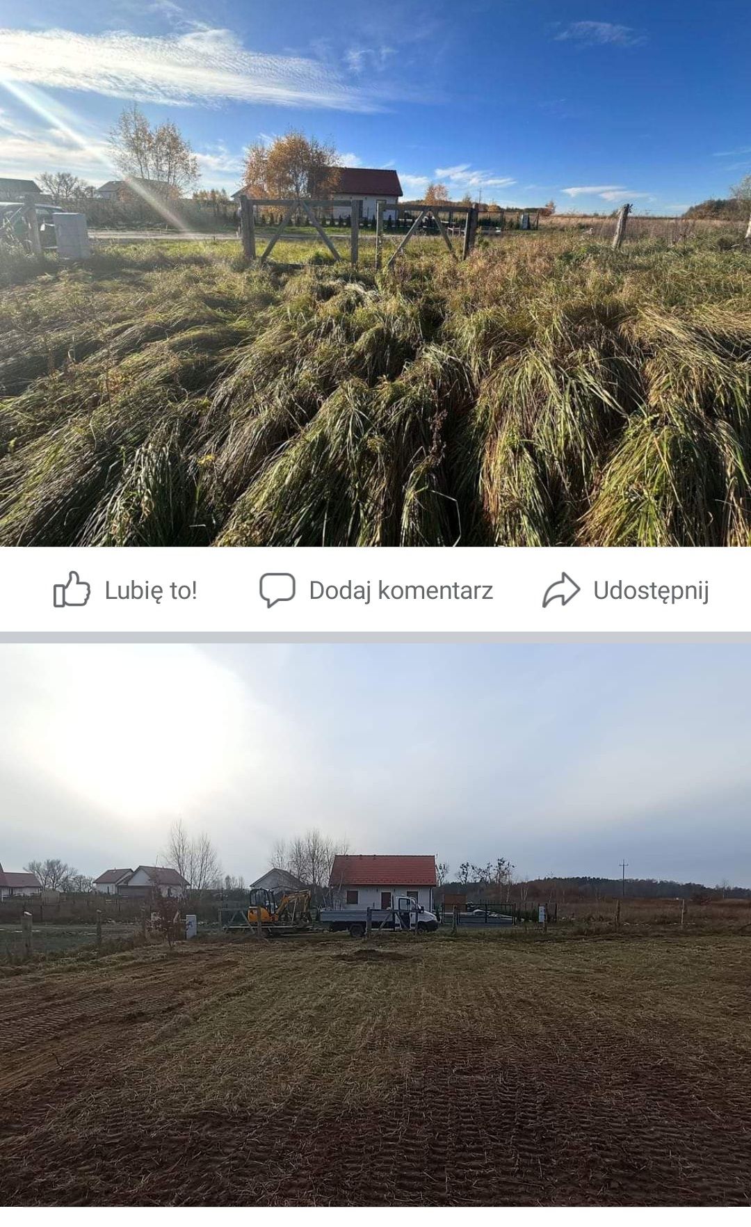 Usługi ogrodnicze zakładanie trawników, projektowanie ogrodów.