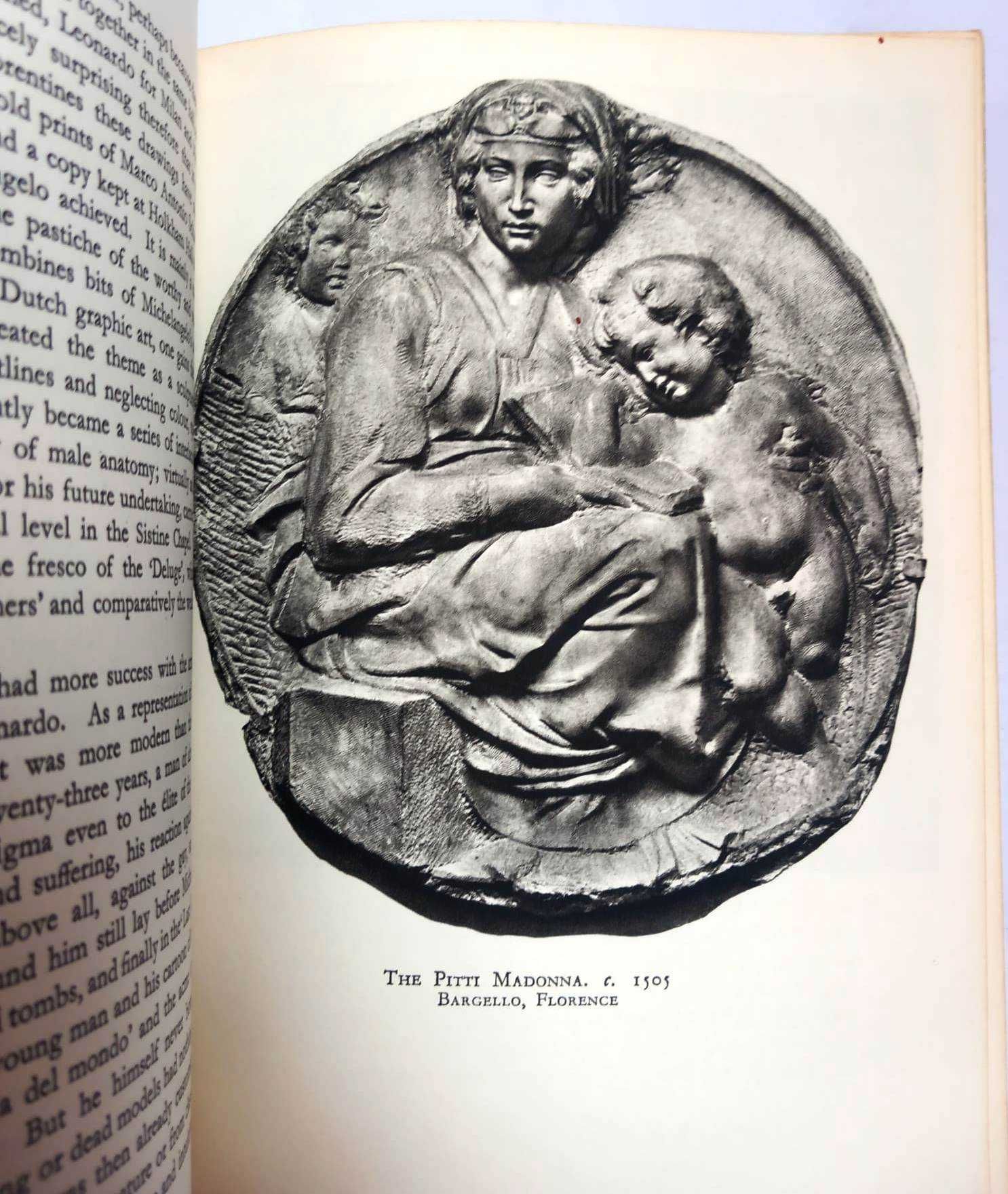 Michelangelo de Rolf Schott