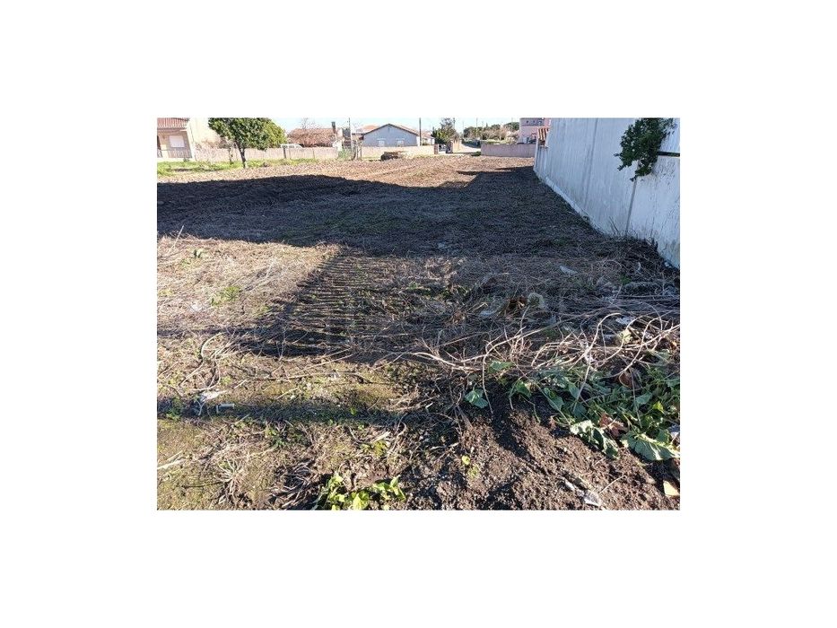 Terreno urbano em Oliveirinha