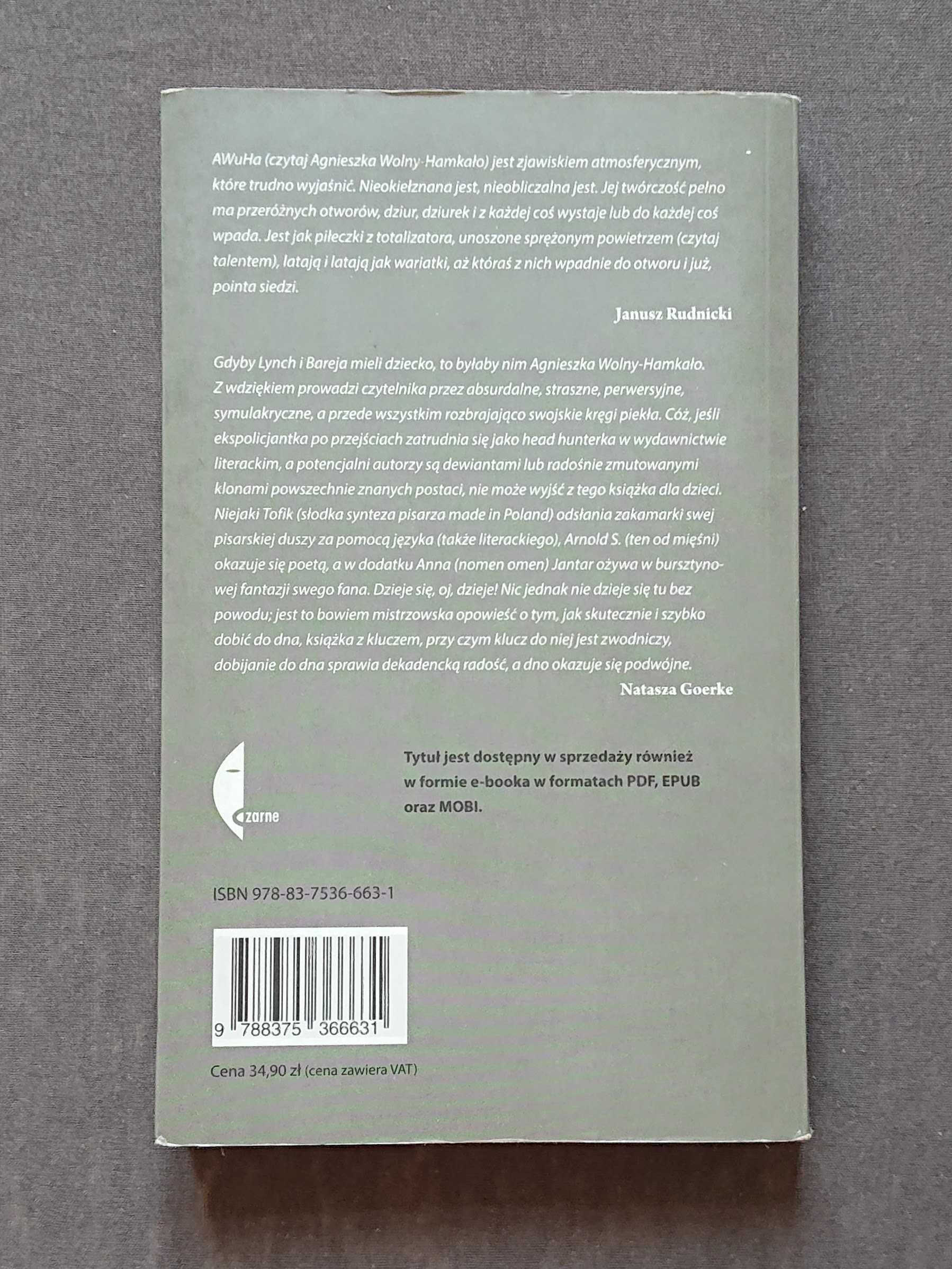 Zaćmienie - Agnieszka Wolny-Hamkało