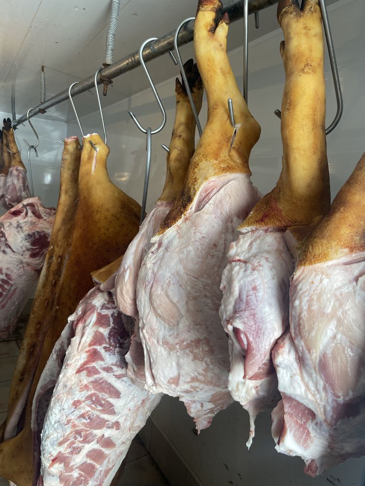 Продажа свинины, мясо тушами, мясо, сало, свежина.