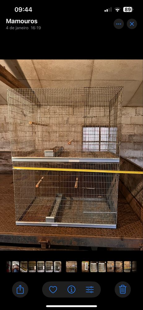 Viveiros para Aves