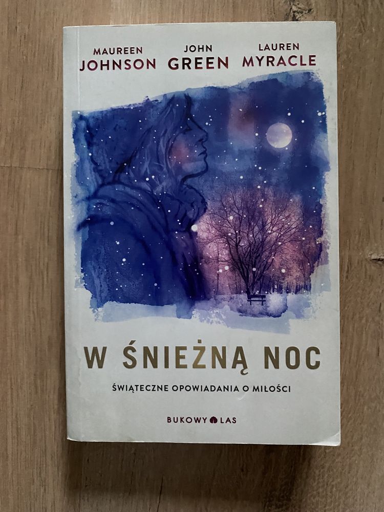 W śnieżną noc John Green