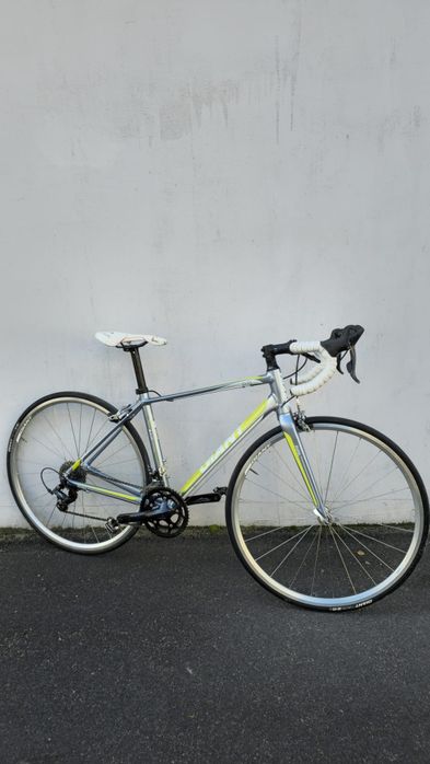 Szosa kolażówka Giant Avail