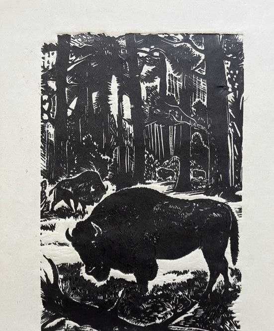 Графіка "Зубри".1981рік. Художник Клєпіков Микола