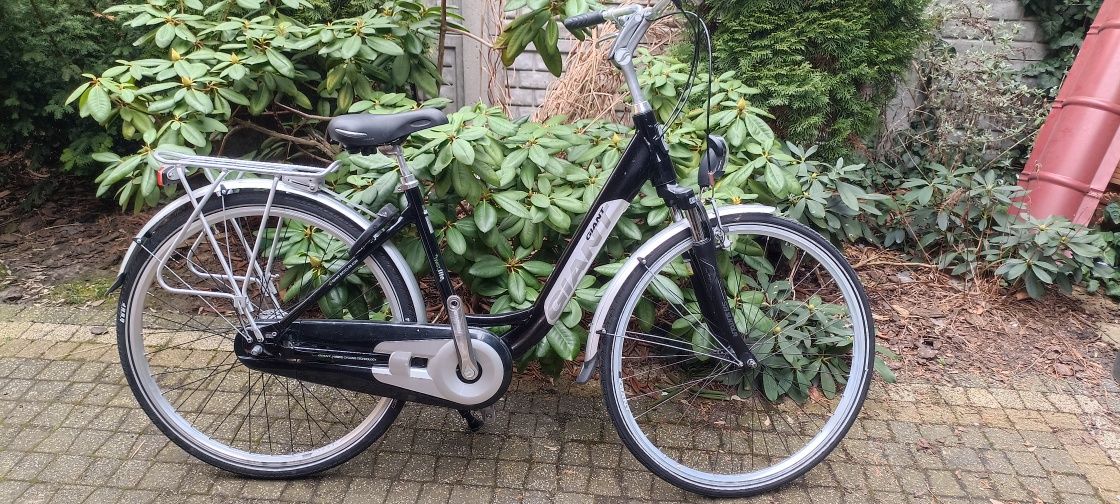 Rower Gazelle Batavus limited i inne