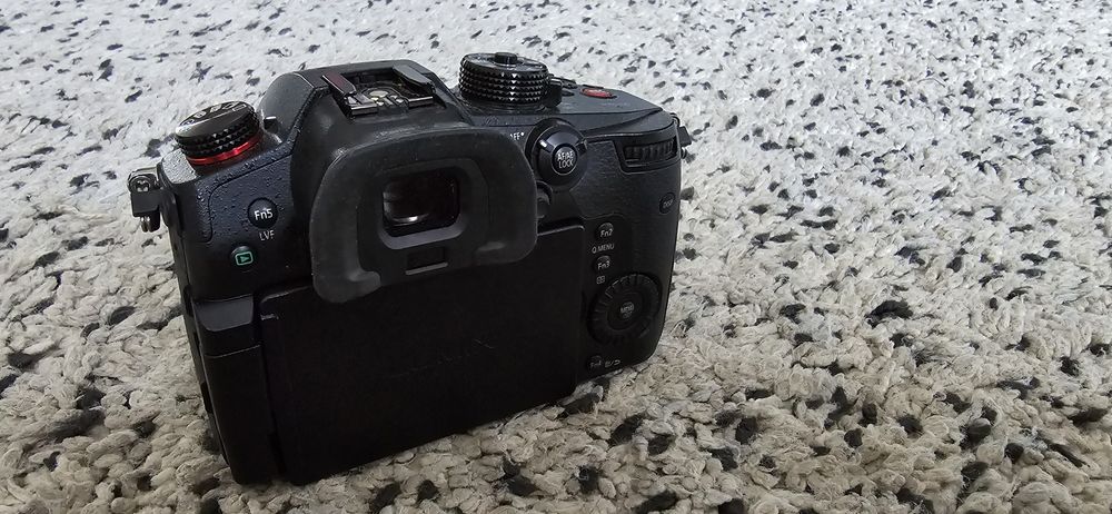 Panasonic lumix gh5s