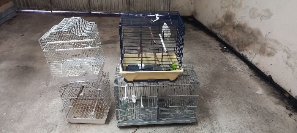 Quatro gaiola em bom estado