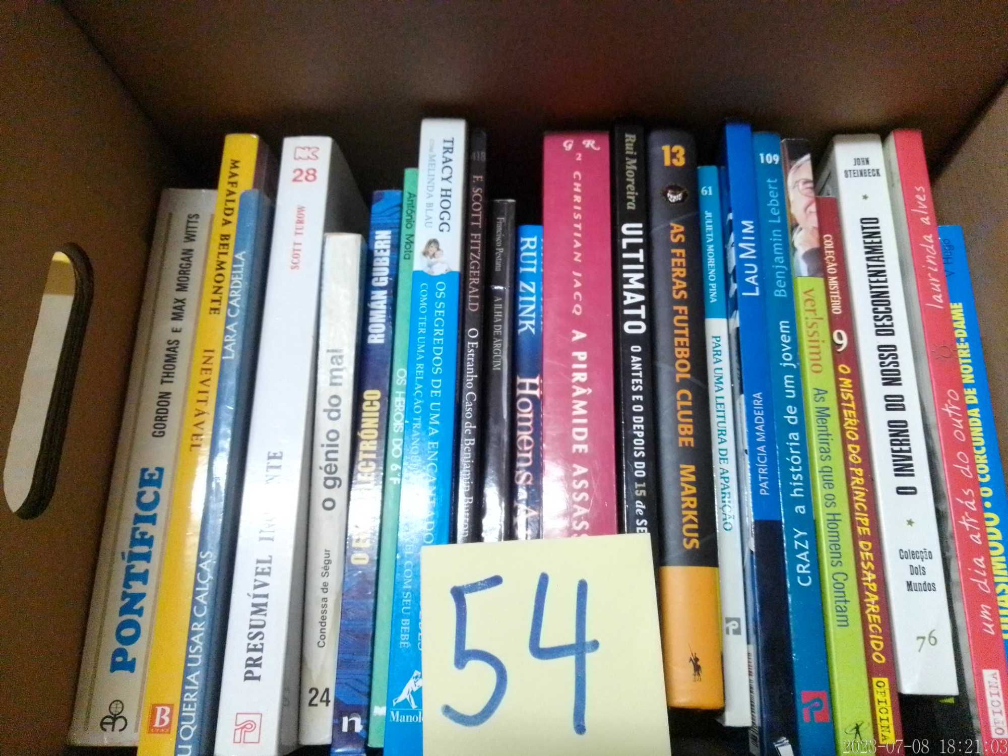 LOTES 4(cx) + 54 - LIVROS Diversos - Vendidos INDIVIDUALMENTE