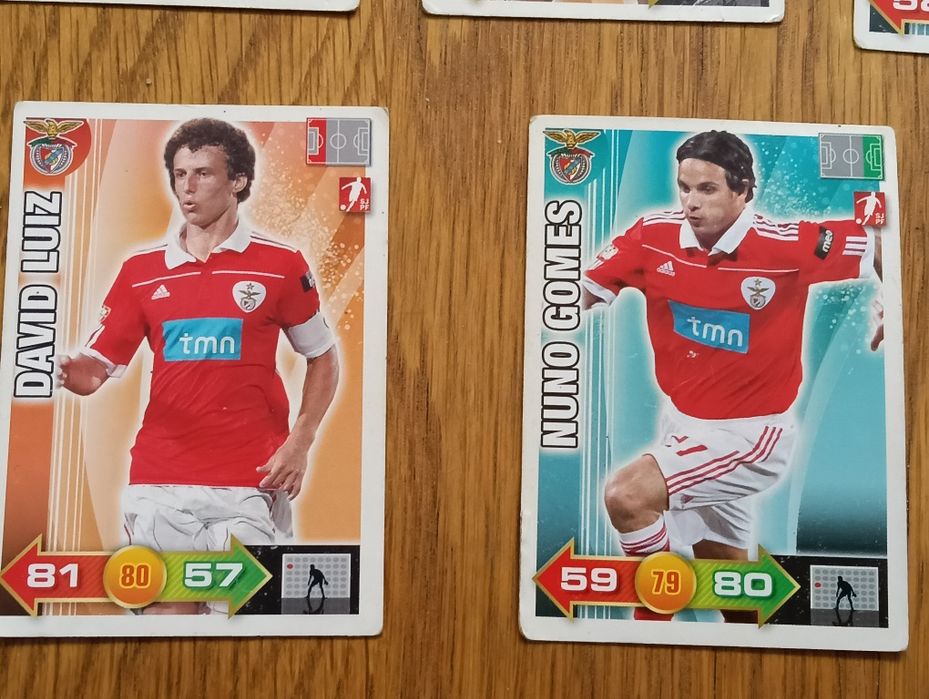 Lote de 12 Cards Adrenalin XL 2010/11