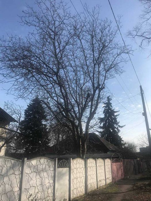 Обрезка деревьев Спил деревьв Обрезка сада Спил с вышки Вывоз Дробилка