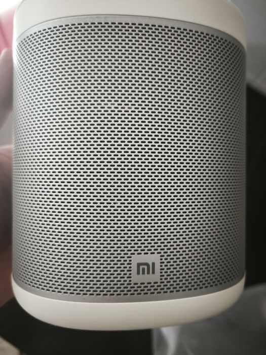 Coluna som Smart home