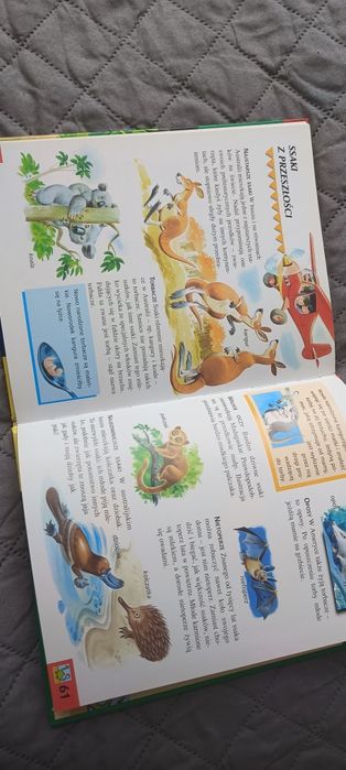 Tajemnice zwierząt, książka dla dzieci