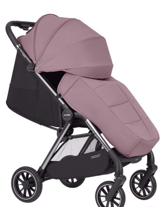 Прогулянкова коляска Carrello Delta CRL-5517