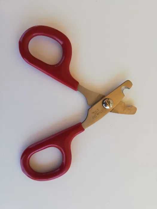 Tesoura Corta-Unhas para Aves Pequenas