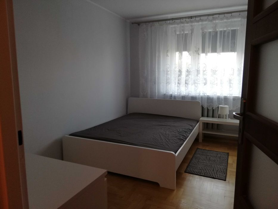 Mieszkanie do wynajęcia