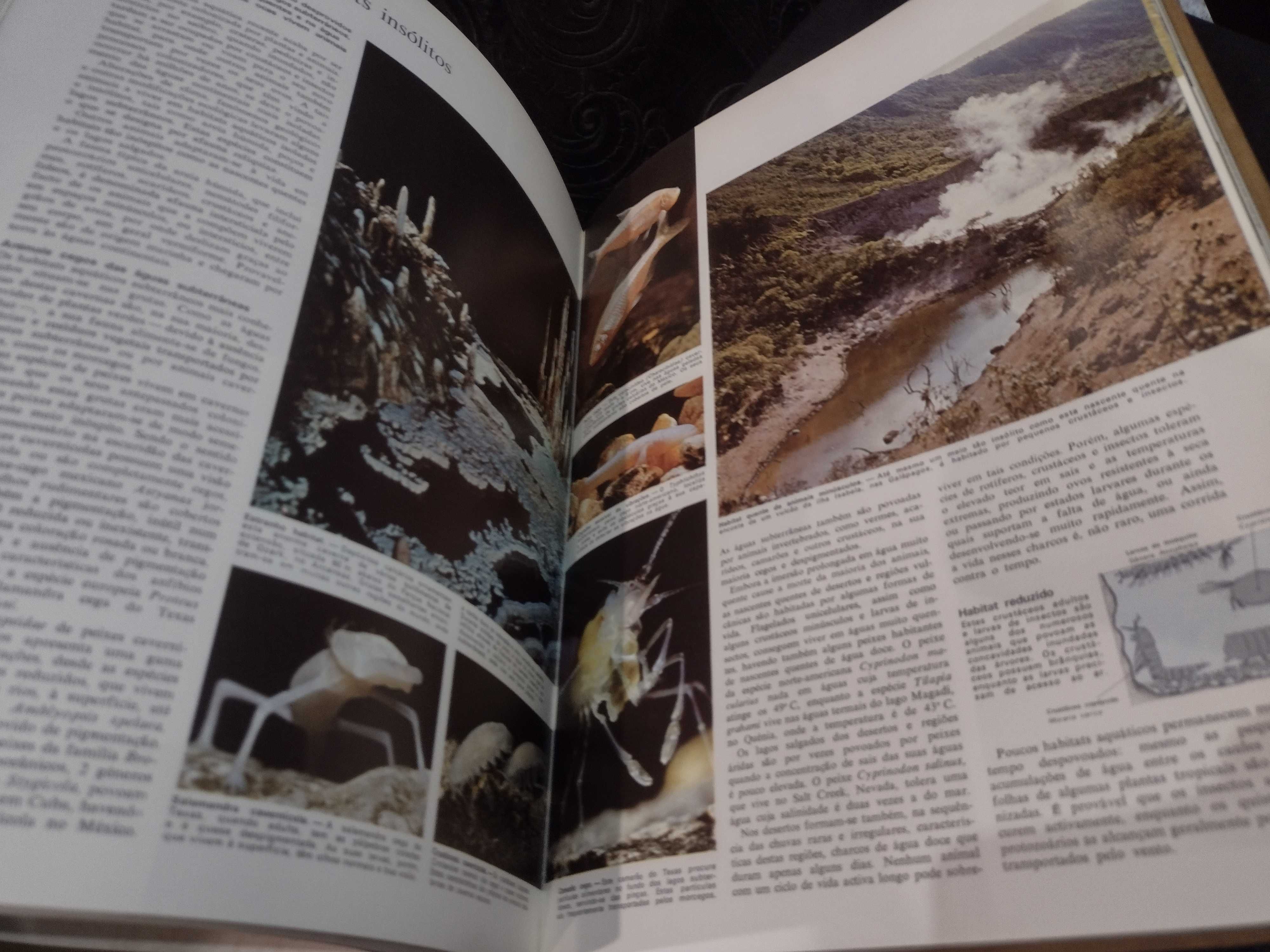 Livro Animais da Terra
