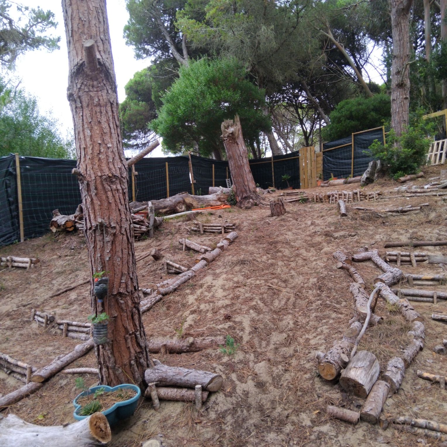 Petsitting/atl  sintra