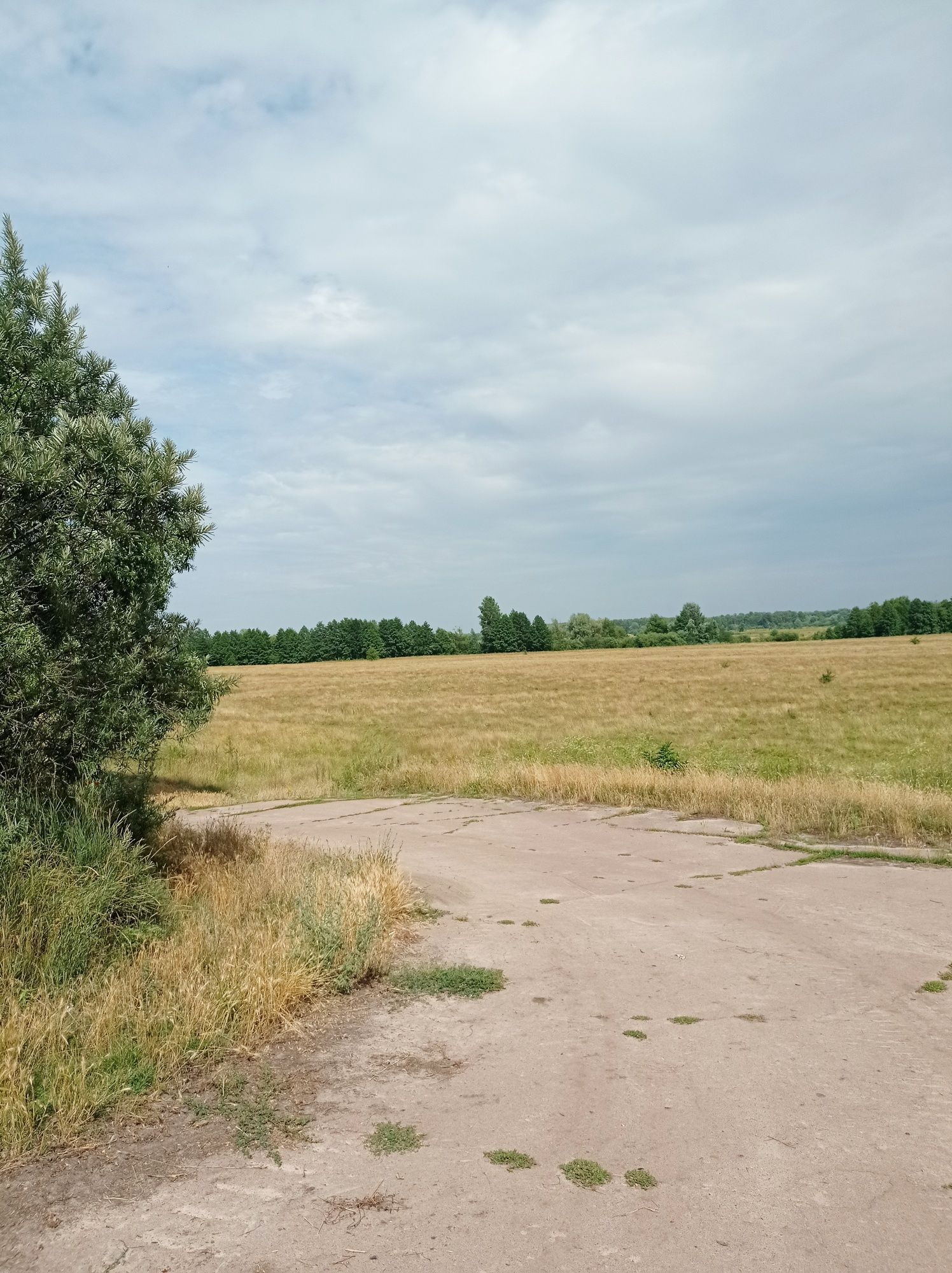 Дом на краю села с видом на луг и реку ДЕСНА.