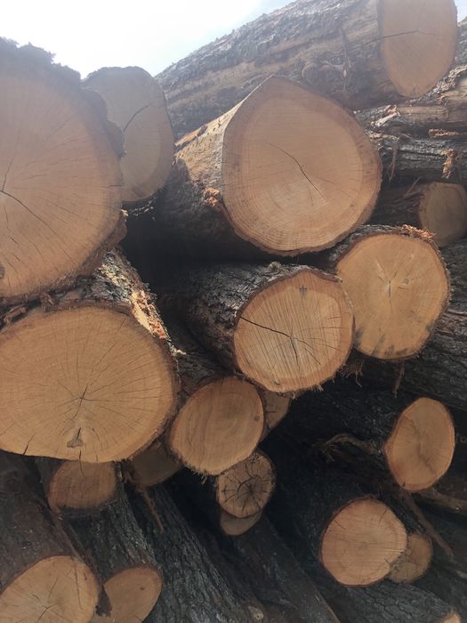 Drewno Opalowe Kominkowe