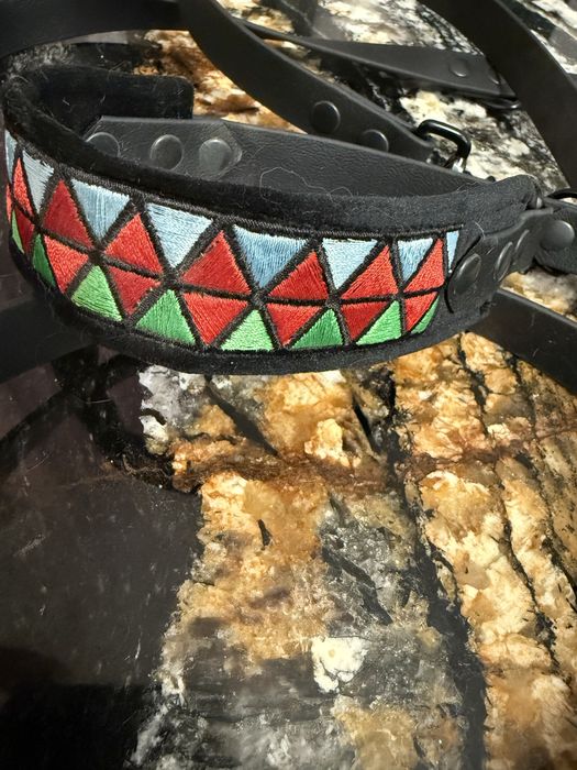 Komplet smycz +obroza