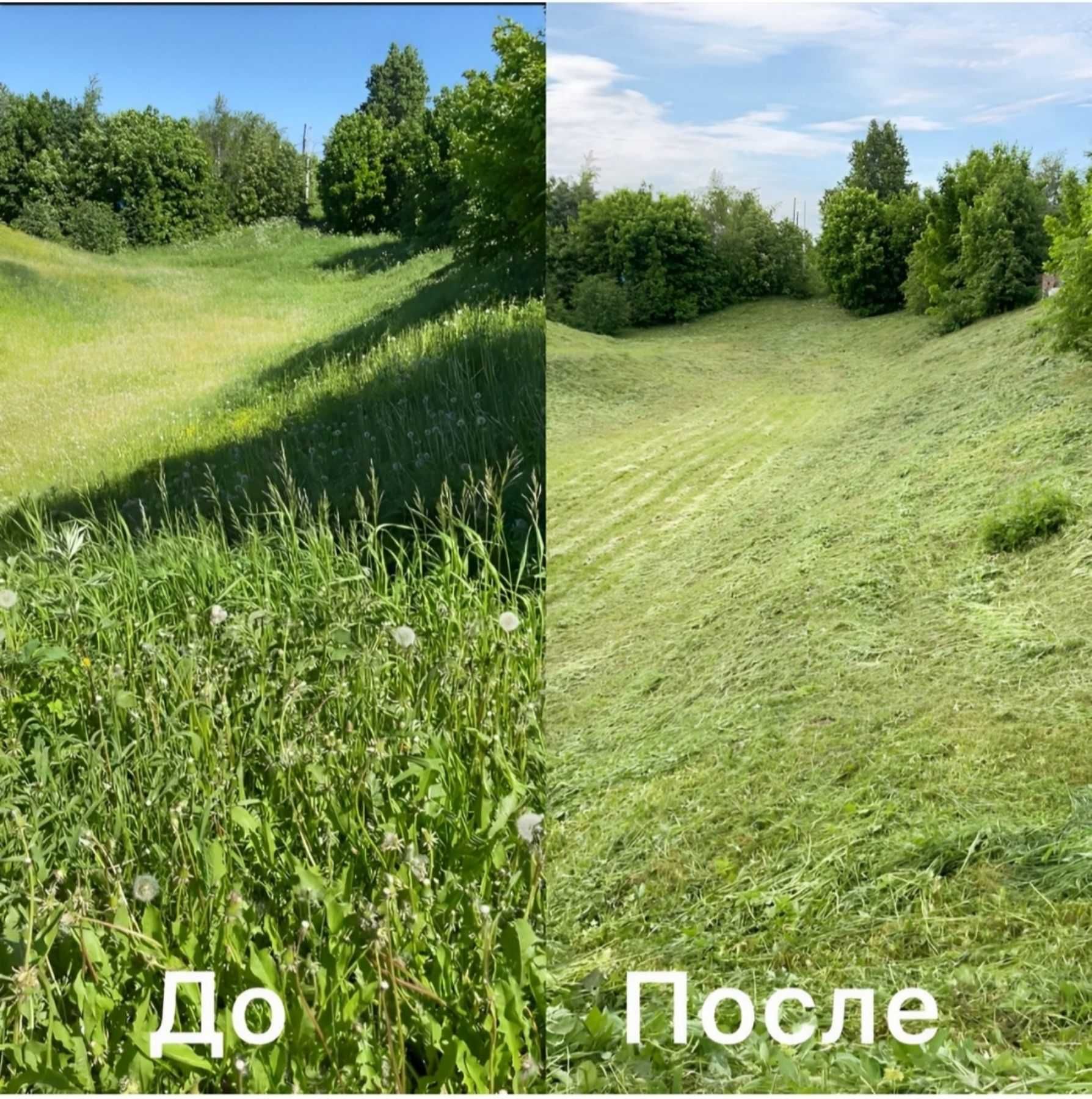 косіння трави бризгання саду городу