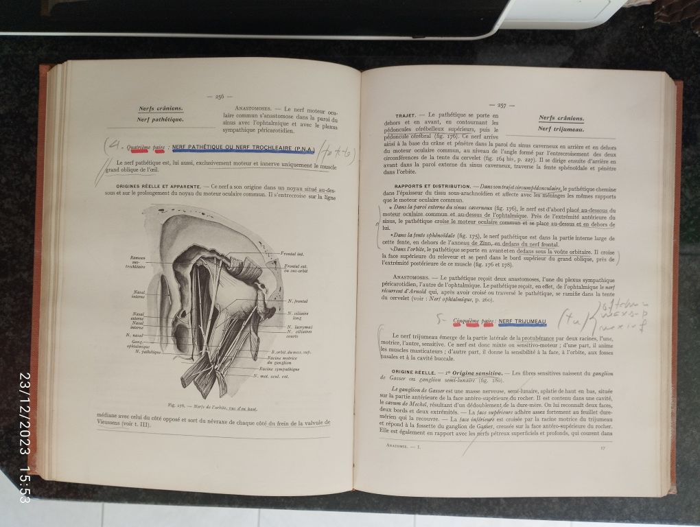 Anatomia Anatomie Humaine - H. Rouviere