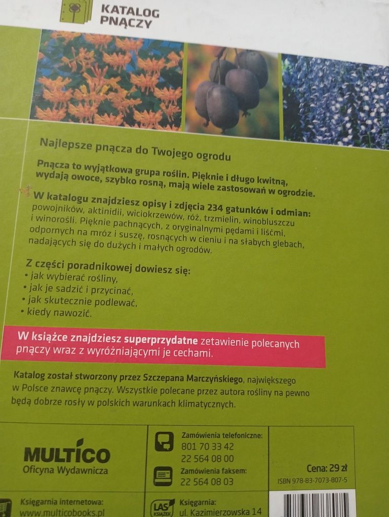 Pnącza Szczepan Marczyński