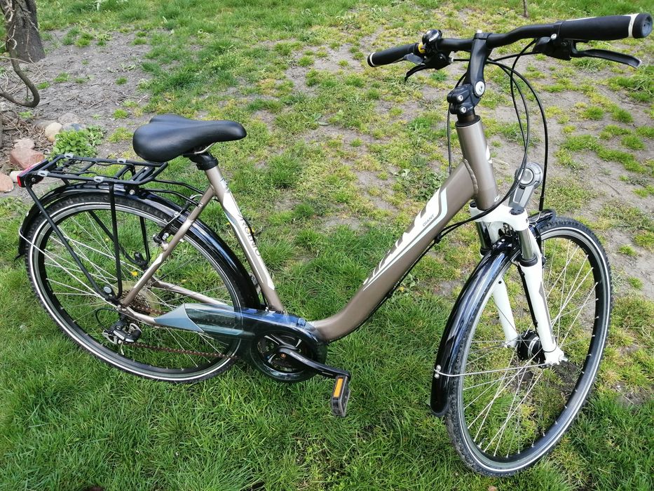 Rower Giant liv 18 argento 3W