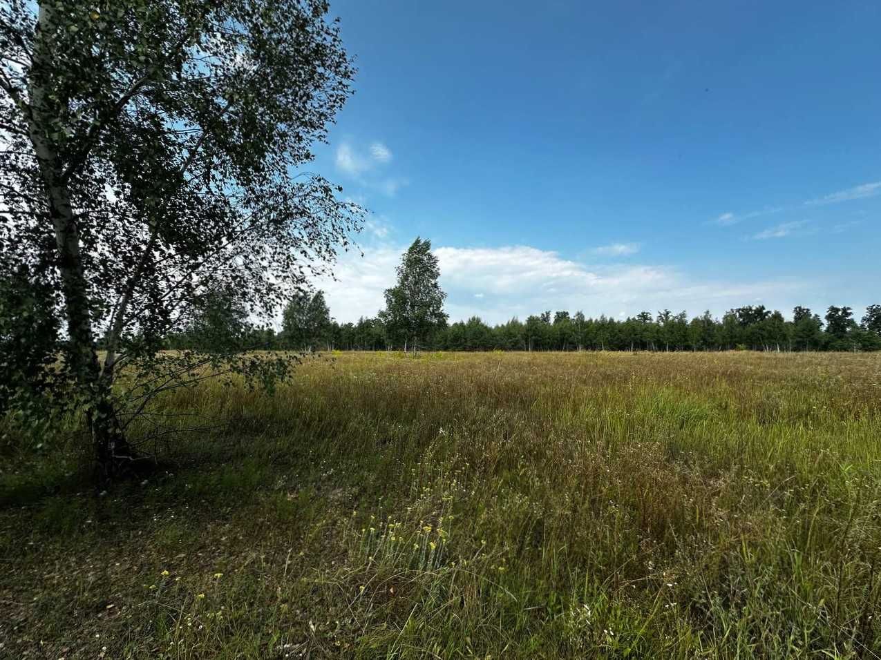 Продаж ділянки 201 сотка (ОСГ). Біля лісу. Озеро - 1км. ID:735