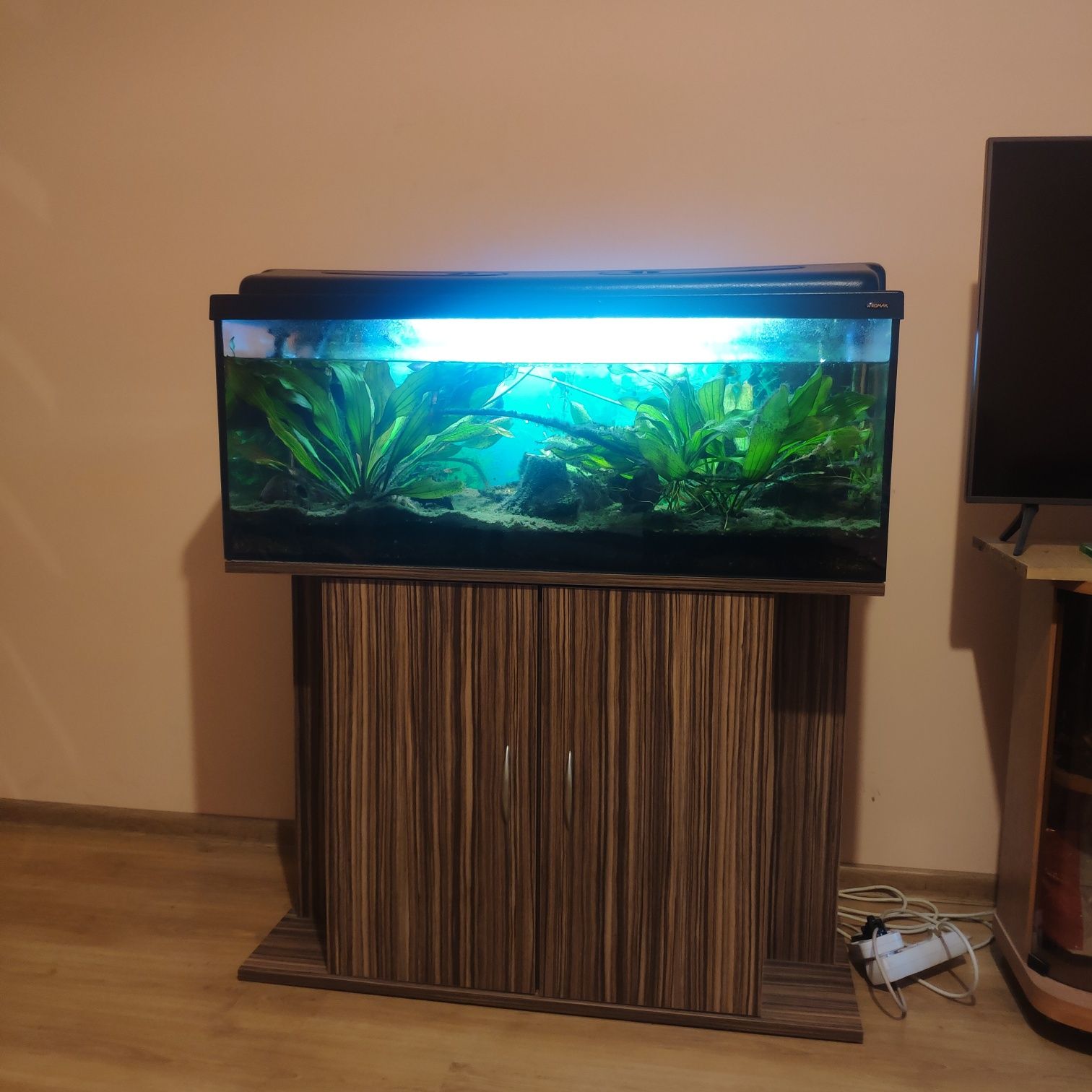 Akwarium 160l z szafką