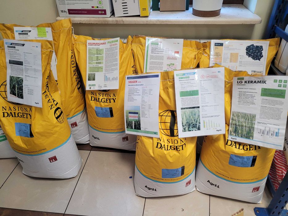 Pszenżyto ozime  Tadeus Tributo Żyto  Helltop Owies ozimy Snowbird