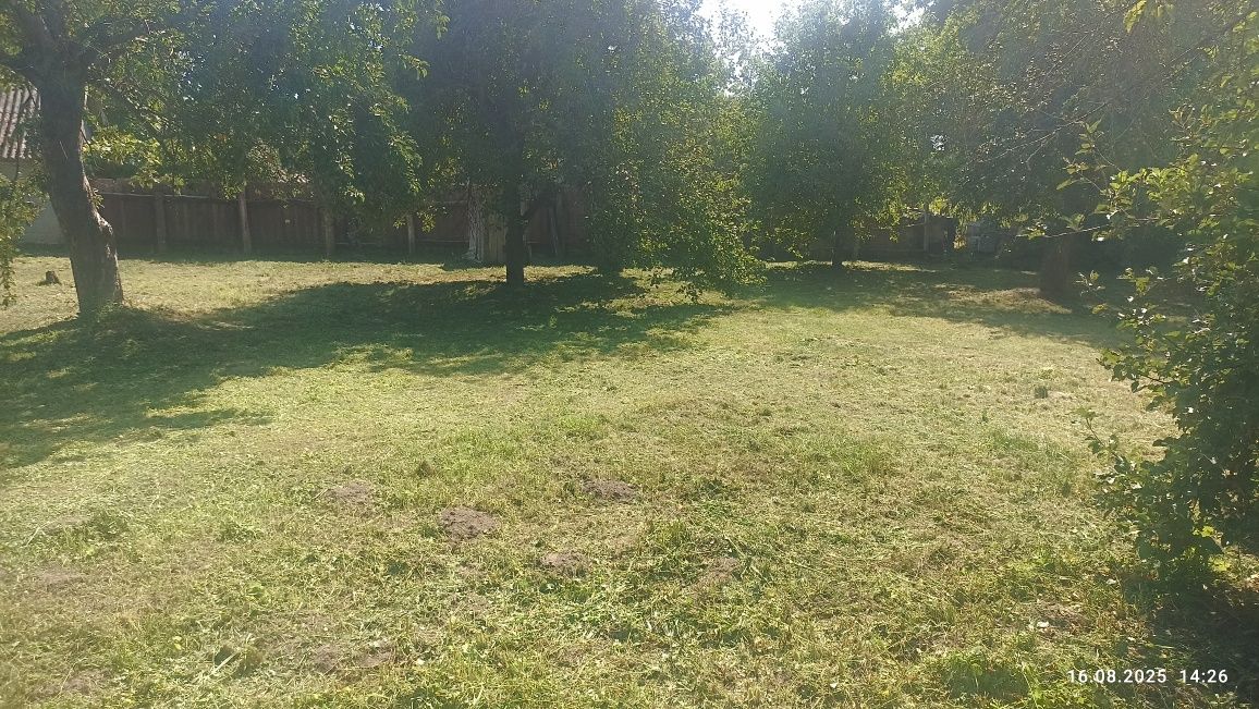Продам будинок.Село Горбачі . Чернігівська область